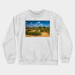 Criollo Cattle on the Open Range Crewneck Sweatshirt